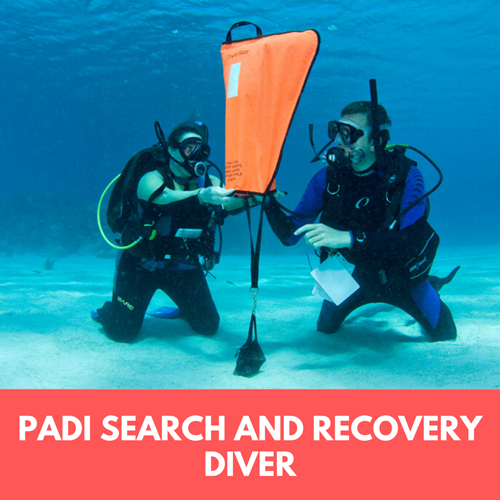 Search and Recovery Diver